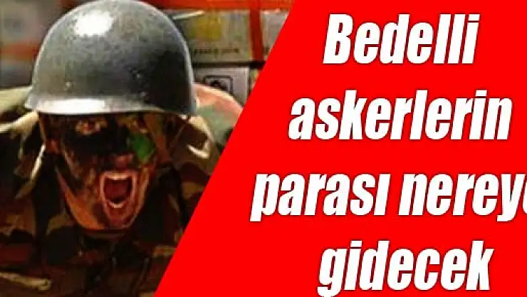 Bedelli askerlerin parası nereye gidecek?
