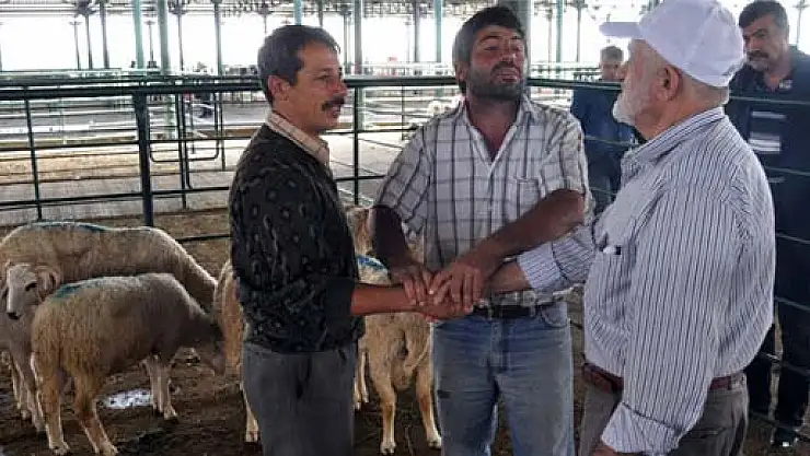 Kurbanlıklar Ne Kadar?