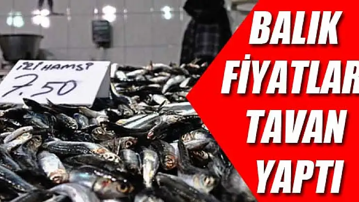 Balık fiyatları tavan yaptı