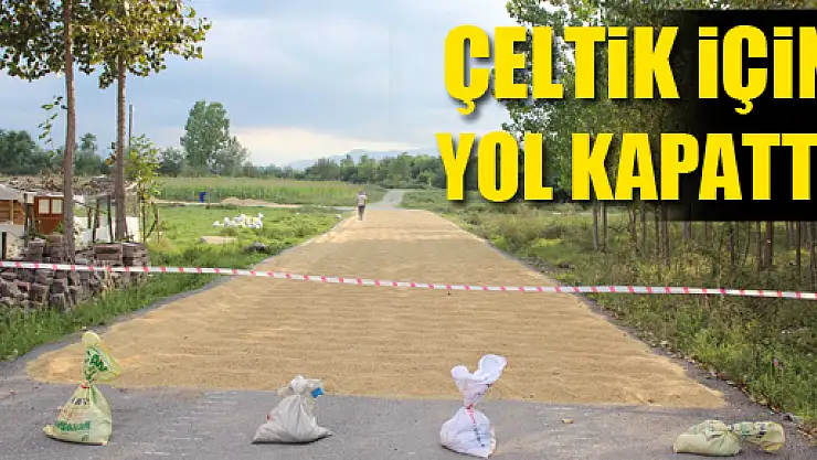 KARAYOLUNDA ÇELTİK KURUTUNCA