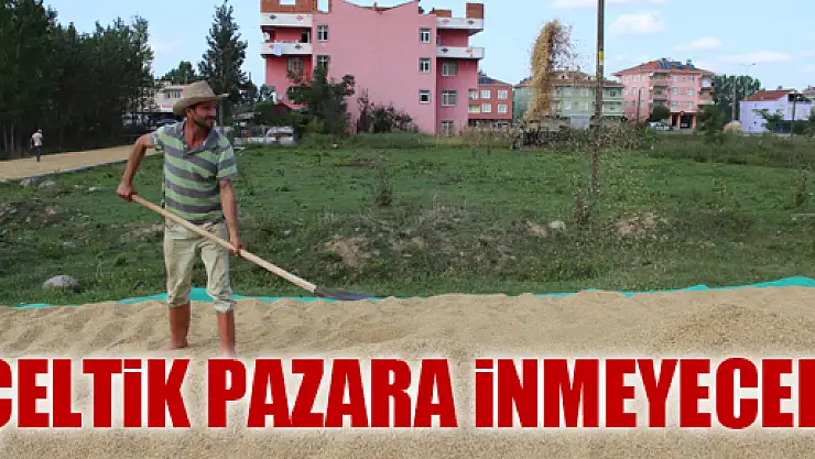 ÇELTİK PAZARA İNMEYECEK