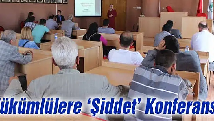 Hükümlülere 'Şiddet' Konferansı
