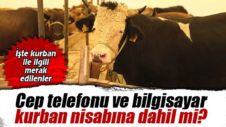 Kurban ile ilgili merak edilenler