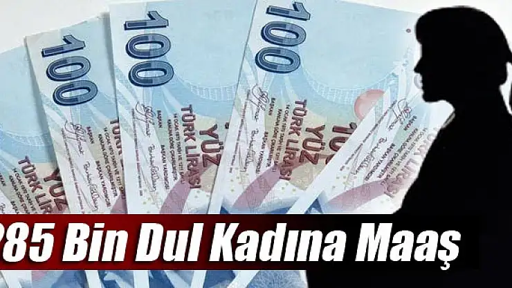 285 Bin Dul Kadına Maaş
