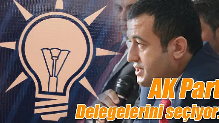 AK Parti Delege Seçimlerine gidiyor