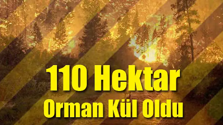 110 Hektar Orman Kül Oldu
