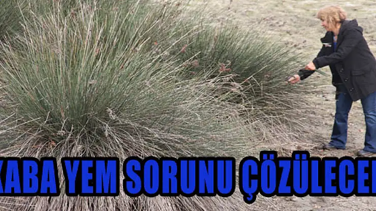 KABA YEM SORUNU ÇÖZÜLECEK