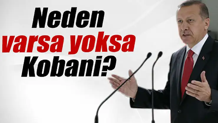 Cumhurbaşkanı Erdoğan: 'Neden varsa yoksa Kobani?'