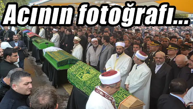 Acının fotoğrafı