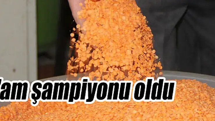 Mercimek Zam şampiyonu oldu