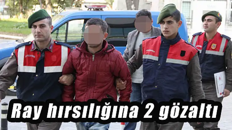 RAY HIRSIZLIĞINA 2 GÖZALTI
