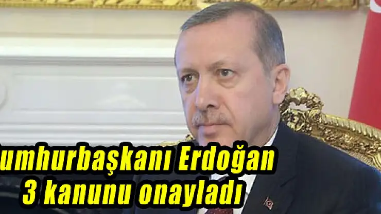 Cumhurbaşkanı Erdoğan, 3 kanunu onayladı
