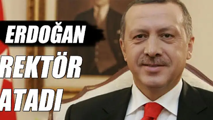 Cumhurbaşkanı Erdoğan, 14 üniversiteye rektör atadı