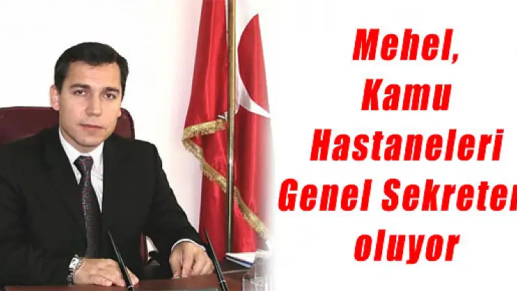 Mehel, Kamu Hastaneleri Genel Sekreteri oluyor