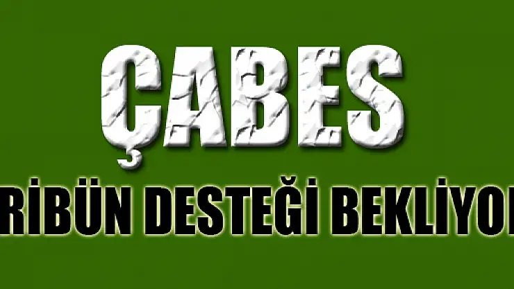  ÇABES tribün desteği bekliyor