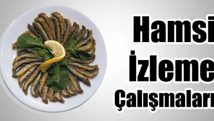 HAMSİ İZLEME ÇALIŞMALARI