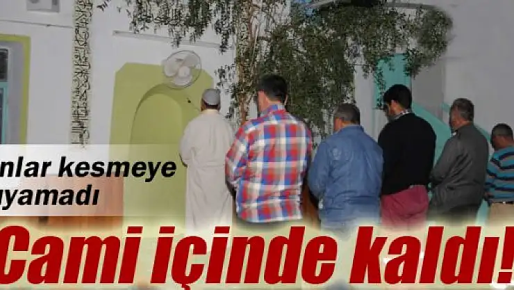 Zeytin ağacı gölgesinde namaz