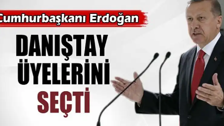 Danıştay üyelerini seçti