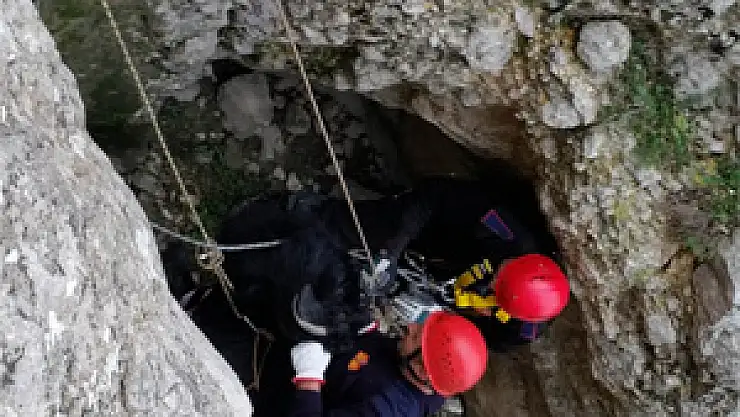 Keçi Kurtarma Operasyonu
