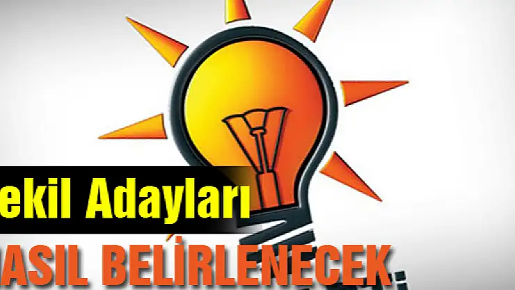 Vekil Adayları nasıl belirlenecek?