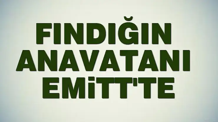 FINDIĞIN ANAVATANI EMİTT'TE