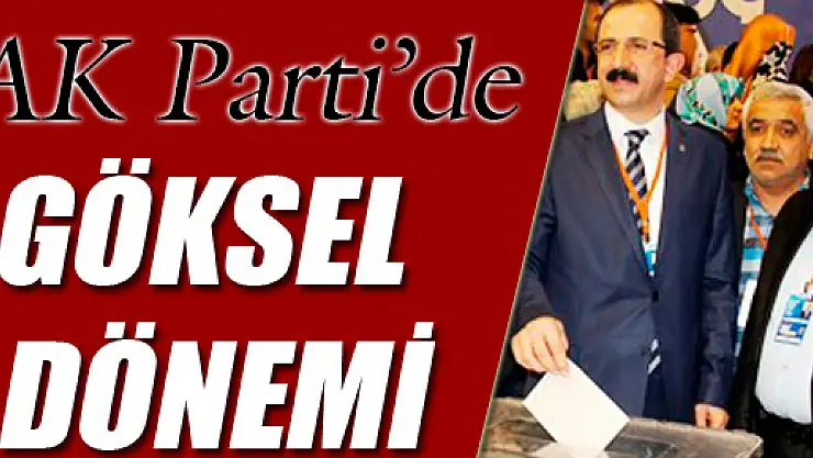 AK Parti'de Göksel Dönemi