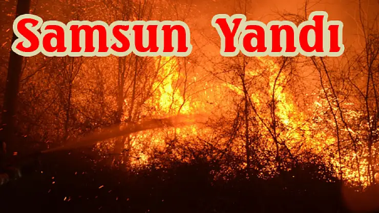 Samsun Yandı