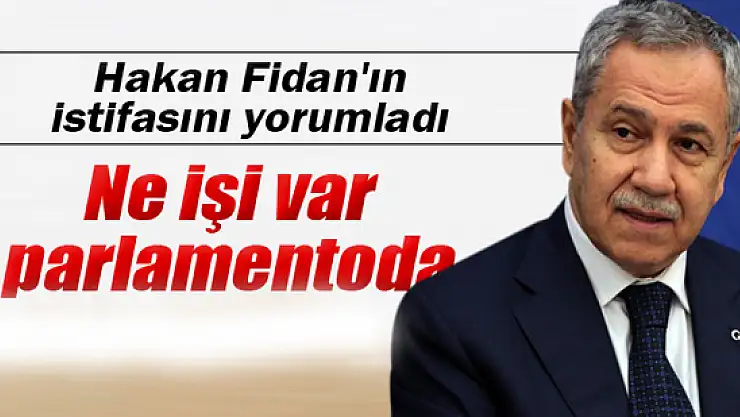 Arınç'tan Hakan Fidan'a: 'Ne işi var parlamentoda'