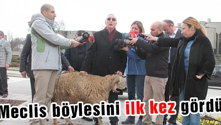 Meclis böylesini ilk kez gördü