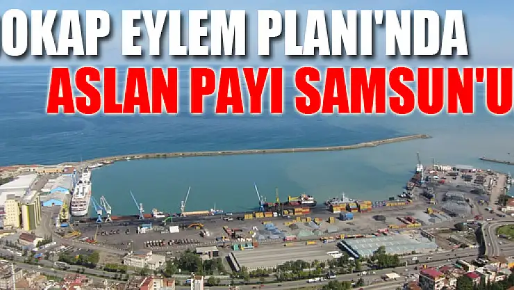 DOKAP EYLEM PLANI'NDA ASLAN PAYI SAMSUN'UN