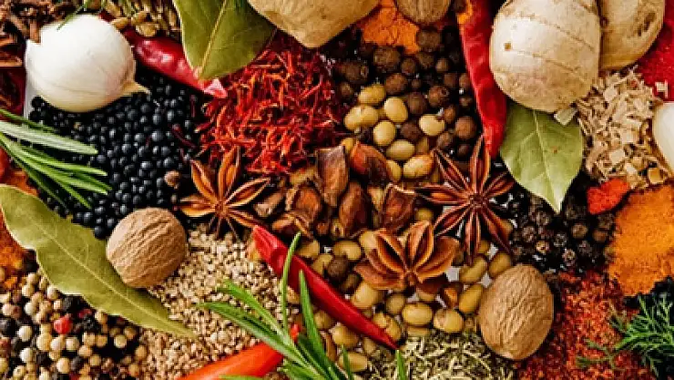 Bitkisel ürün fiyatları ve üretim değeri açıklandı