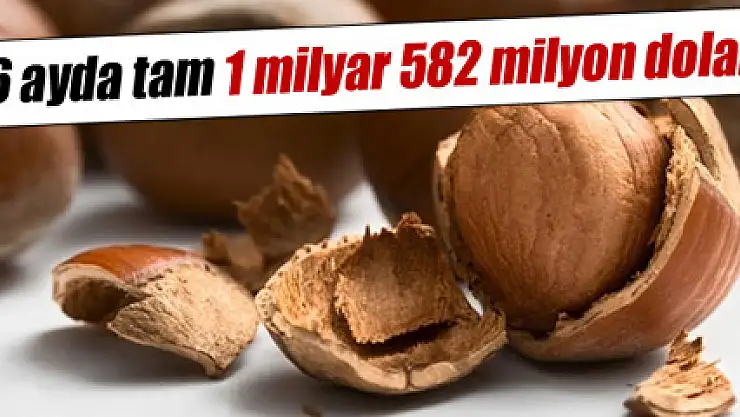 Fındık ihracatında 6 ayda 1 milyar 582 milyon dolar