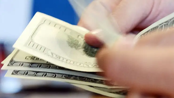 Dolar 2,61'i gördü