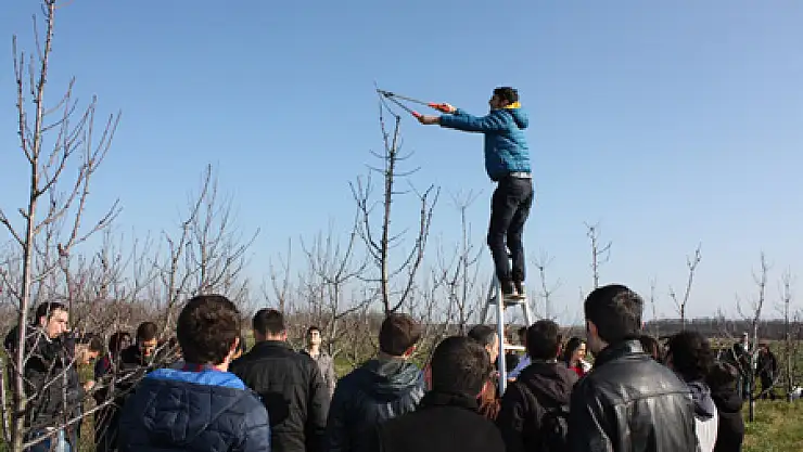 Öğrencilere Budama Terbiye Dersi