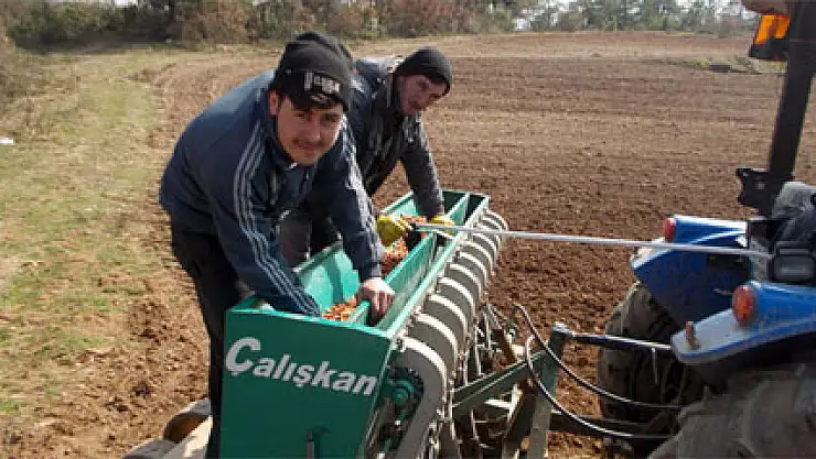 Üreticinin umudu soğan