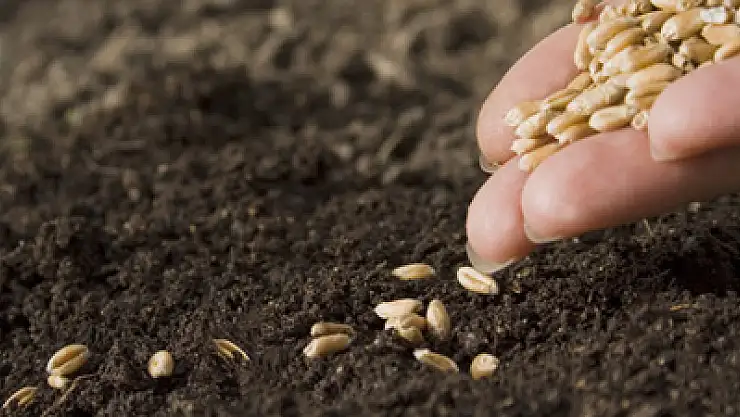 'Tohumda dışa bağımlılık kalmayacak'