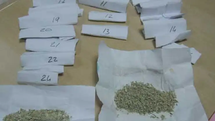 26 Paket Bonzai'ye gözaltı!