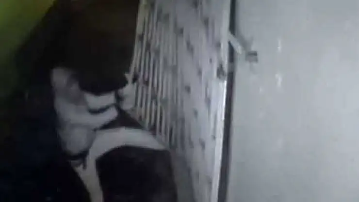 Demir korkulukları elleriyle söktü