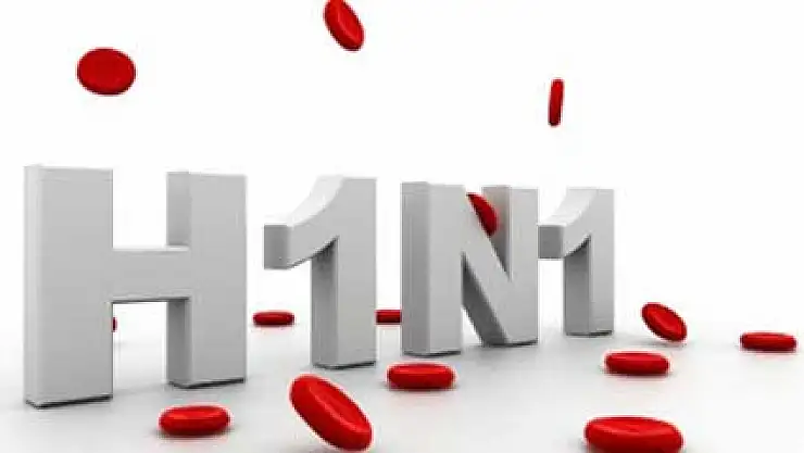 CHP domuz gribiyle ilgili Meclis araştırması istedi