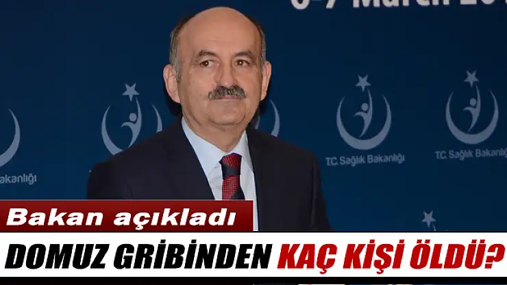 30 kişi domuz gribinden hayatını kaybetti