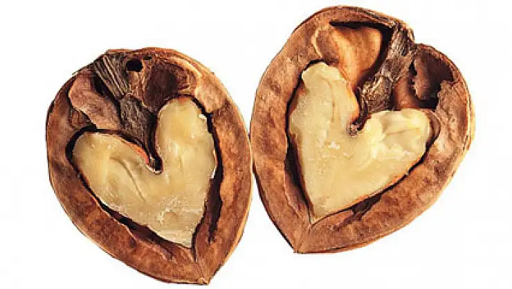 Cevizin faydaları saymakla bitmiyor