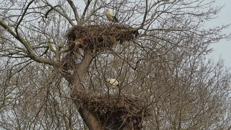 Leylek Şehri Konuklarını Bekliyor