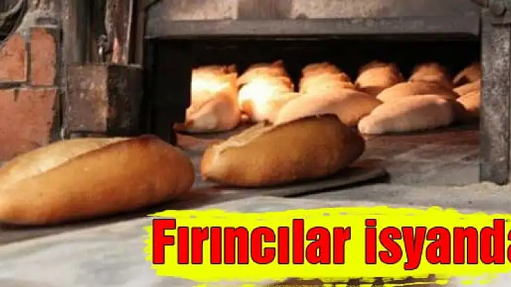 Fırıncılar'da Pazar tatili ve ekmek tarife istifası