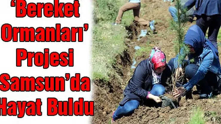 'Bereket Ormanları' Projesi Samsun'da Hayat Buldu