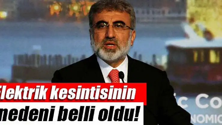 Bakan Taner Yıldız: 'Böyle bir kesinti 86 binde bir ihtimal'