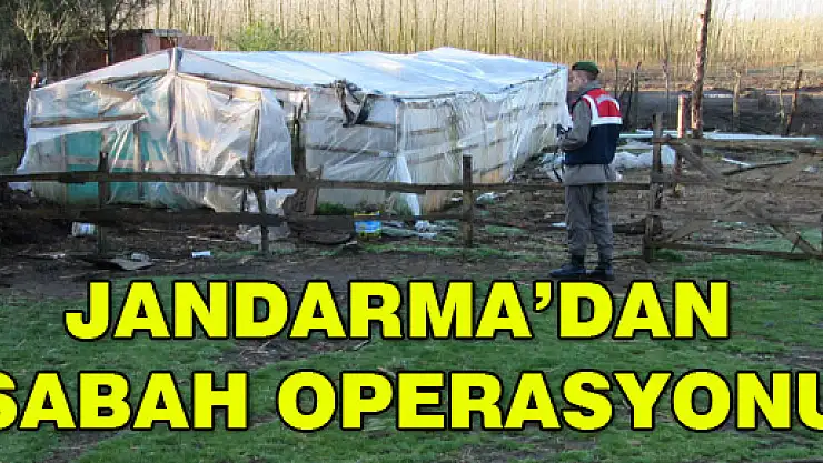 Jandarma'dan sabah operasyonu