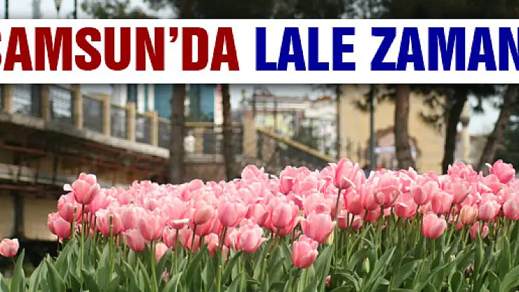 Samsun'da Lale Zamanı