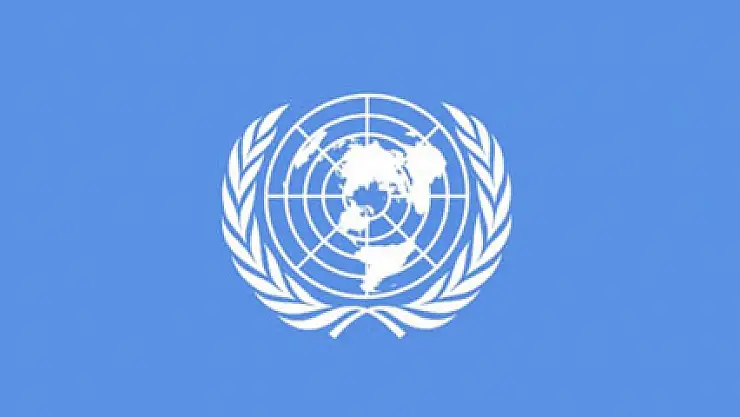 BM'den Husilere karşı silah ambargosu