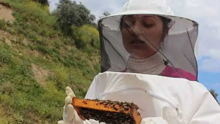 Kraliçe arı üretiminin kraliçesi oldu