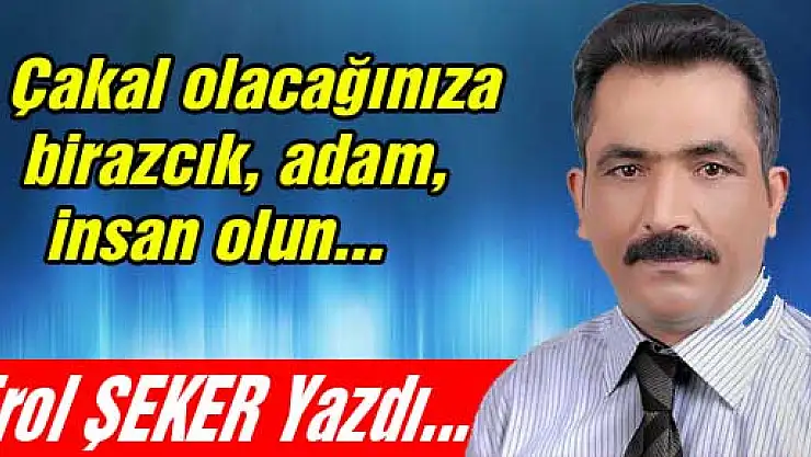 Çakal olacağınıza birazcık, adam, insan olun...